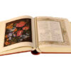 Divan of Rumi Book: Selected Poems (Bilingual Persian & English)
