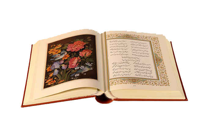 Divan of Rumi Book: Selected Poems (Bilingual Persian & English)