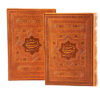 Divan of Rumi Book: Selected Poems (Bilingual Persian & English)