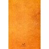 The Masnavi Book by Maulana Jalaluddin Rumi (Farsi Edition)