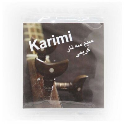 Pack of Strings for Persian Setar Model Karimi
