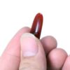 Mezrab Pick for Persian Tar Red Agate
