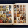 Selected Painting Arts of Mahmoud Farshchian
