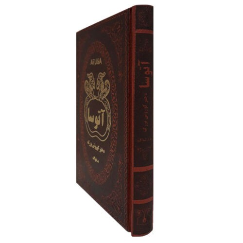 Atossa; Cyrus the Great’s Daughter Book