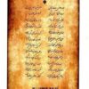 Firooz & Nasrin Book by Niaz Shirazi