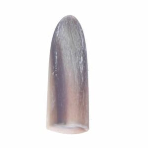 Mezrab Pick for Persian Tar Model Horn (2x)