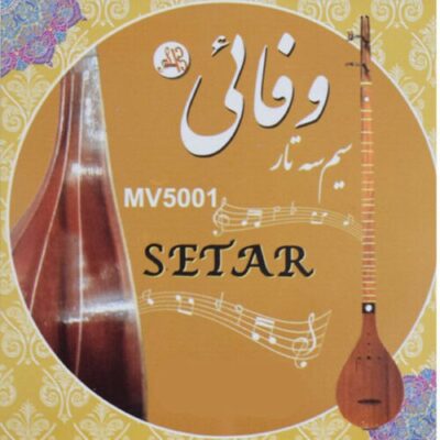 Pack of Strings for Persian Setar Model Vafahi MV5001