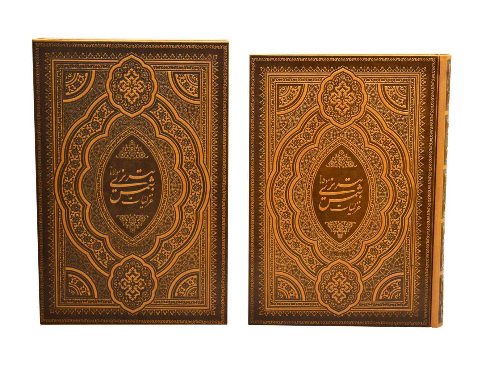Ghazaliyat of Shams-e Tabrizi (Bilingual Persian & English)