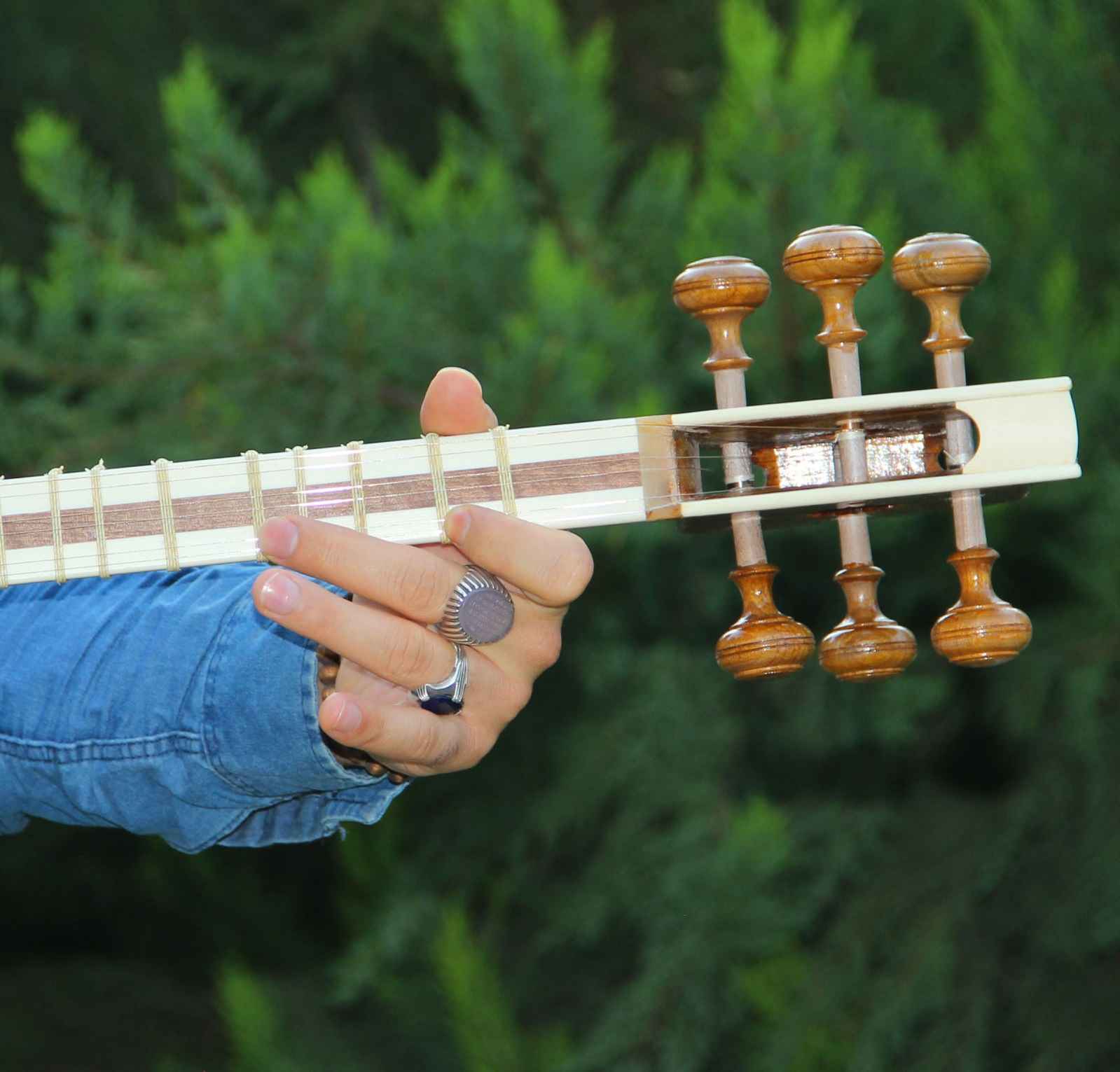 Persian Tar String Instrument – Handcrafted by IranSaz, Model H700