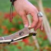 Persian Tar String Instrument – Handcrafted by IranSaz, Model Argavan