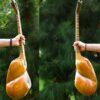 Persian Tar String Instrument – Handcrafted by IranSaz, Model Firoozeh