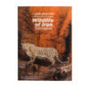 Wildlife of Iran, Where and how to watch and photograph
