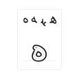 Farsi Flashcards for Persian Alphabet Learning