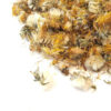 Dried Dandelion Flowers | Tea, Culinary Uses & Natural Health Benefits 800 Gram