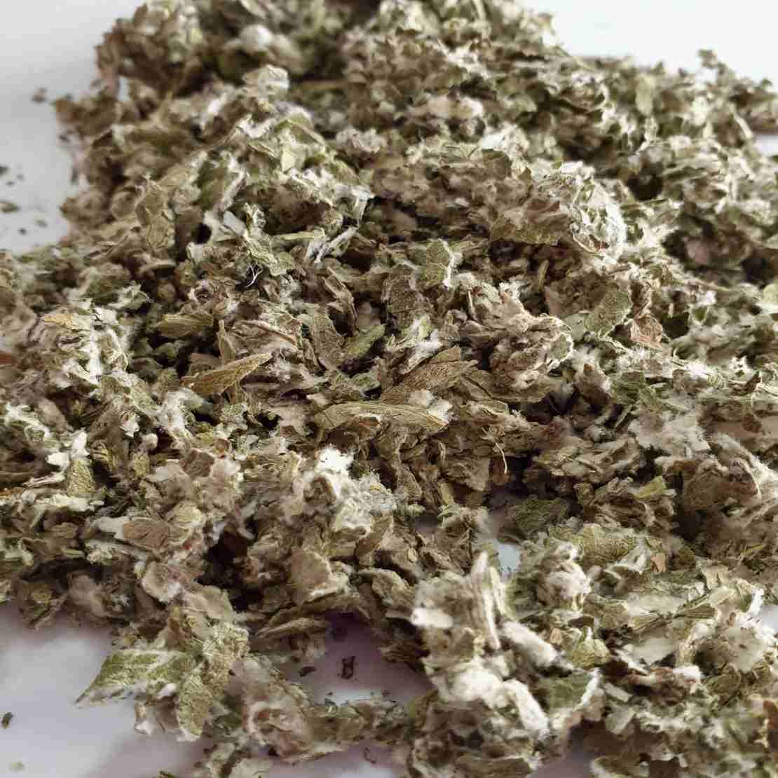 Dried Coltsfoot Herb (Tussilago farfara) – 600g Premium Respiratory Support