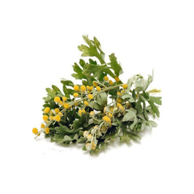Dried Wormwood Leaves – Aromatic Bitter Herb for Traditional Herbal Infusions – 600g