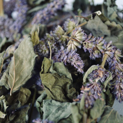 Dried Hyssop Herb – Fragrant Aromatic Herb with Fresh Herbal Flavor – 700g