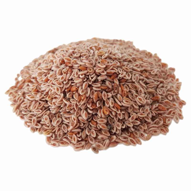 Dried Ispaghula Seeds (Psyllium) – 600 Gram