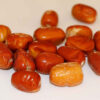 Dried Oleaster (Russian Olive Fruits) - 2500 grams