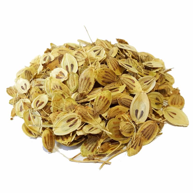 Golpar: Dried Angelica Seeds / Persian Hogweed 800g – Aromatic Culinary Herb