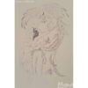 Original Persian Miniature Art Painting: Watercolor - Desire for Love