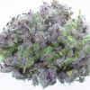 Dried Stachys lavandulifolia Chaye-e-Kohi 800 Gram