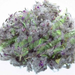 Dried Stachys lavandulifolia Chaye-e-Kohi 800 Gram