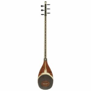 Persian Shurangiz Avayeh Molana String Instrument – Model Shayan