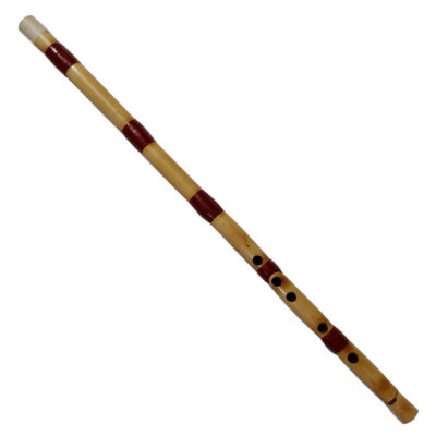 Persian Hamoon Woodwind Ney - La Tuning