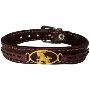 Persian Leather Bracelet for Men and Women – Dey Symbol