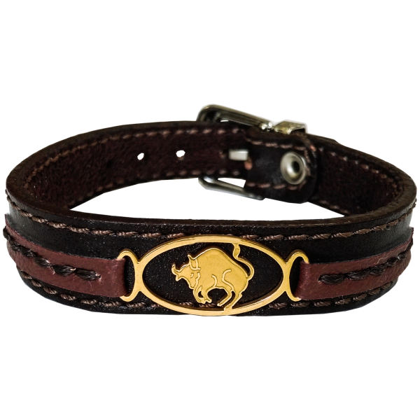 Persian Leather Bracelet for Men and Women – Ordibehsht Symbol