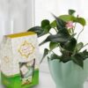 Mozaffari Gaz (3x Pack): Pistachio – Traditional Iranian Rosewater Nougat 200 (4x)