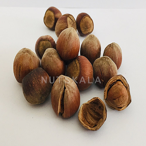 Whole Raw Persian Walnuts – 900 grams