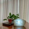 Persian Glow Salt Lamp - Handcrafted with Sama Dance Design