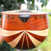 Iranian Setar – Handcrafted by Iransaz, Model Sama (Advanced)