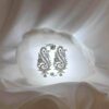 Persian Glow Salt Lamp - Handcrafted with Paisley Design