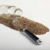 Peganum Harmala Seeds (Steppenraute) - 600 Gram