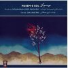 Musem-e Gol Album by Iraj Bastami