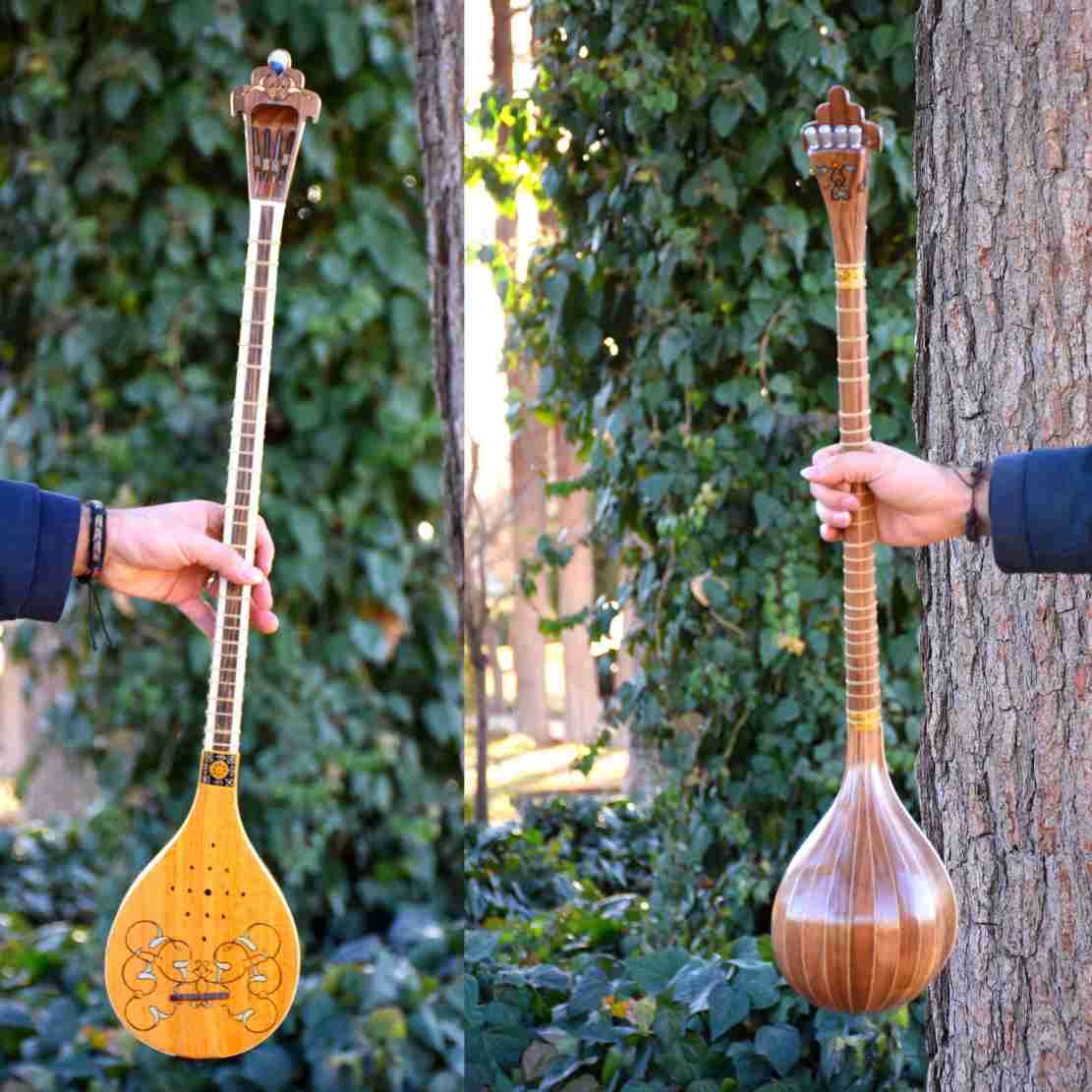 Traditional Persian Setar by Iransaz, Model Barbad