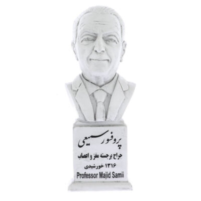 Majid Samii Bust Statue Iranian neurosurgeon
