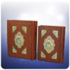 Selected Poems from the Divan of Rumi Book (Farsi Edition)