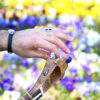 Persian Tar String Instrument – Handcrafted by Iran-Saz, Model Shahkar