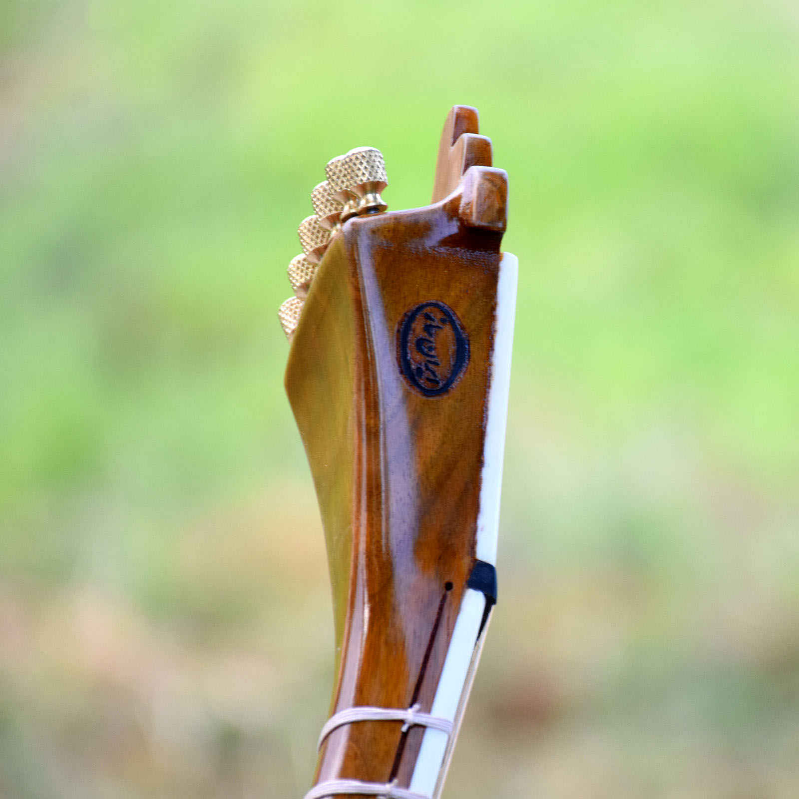 Persian Tar String Instrument – Handcrafted by Mahoor