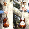 Persian Tar String Instrument – Handcrafted by Iran-Saz, Model 1 Stamp