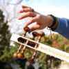Persian Tar String Instrument – Handcrafted by Iran-Saz, Model 1 Stamp