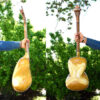 Persian Tar String Instrument – Handcrafted by IranSaz, Model Mehregan