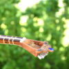 Persian Tar String Instrument – Handcrafted by IranSaz, Model Mehregan