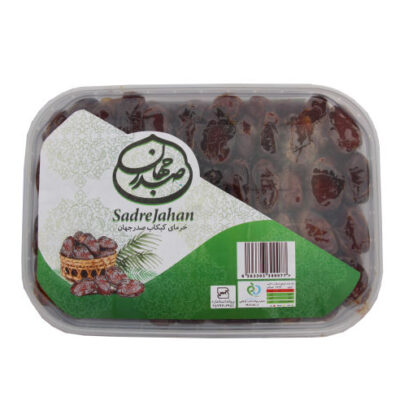 Premium Iranian Kabkab Dates, Whole Traditional Southern Dates with a Soft Texture & Rich Sweet Flavor – 2500g