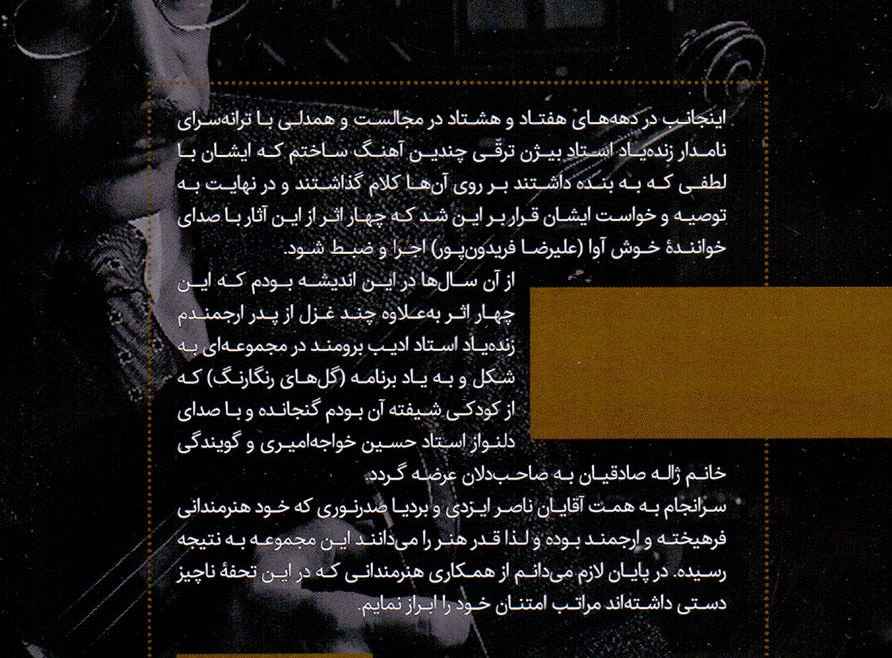 Alley of Nights Music Album By Alireza Fereydoun Pour