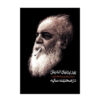Pire Parnian Andish dar Sohbate Saye by Milad Azimi